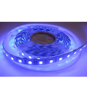 DC 12V Blue Color 5050 60PCS LED