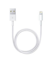 Apple Lightning to USB Cable