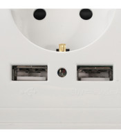 Schuko-Wall Socket with 2 USB ports