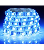 DC 12V Blue Color 5050 60PCS LED