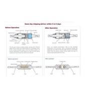 Thermal Fuse 250V 10A