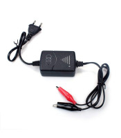 Smart Car Motorcycle Battery Charger Intelligent Battery Maintenance 2 in 1 Joint Output DC14.8