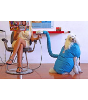 Pet Dog Dryer, Protable Fast Easy Blower Professional Tool Hair Pet Low Noise Puff and Fluff Bath Grooming