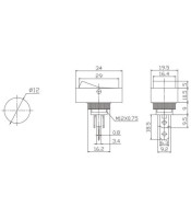 AUTO SWITCH RED ΔΙΑΚΟΠΤΗΣ ΑΥΤΟΚΙΝΗΤΟΥ ΜΕ 12V ΕΝΔΕΙΚΤΙΚΟ ΚΟΚΚΙΝΟΣΔΙΑΚΟΠΤΕΣ