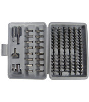 Set of 100 bit heads in a practical carrying case