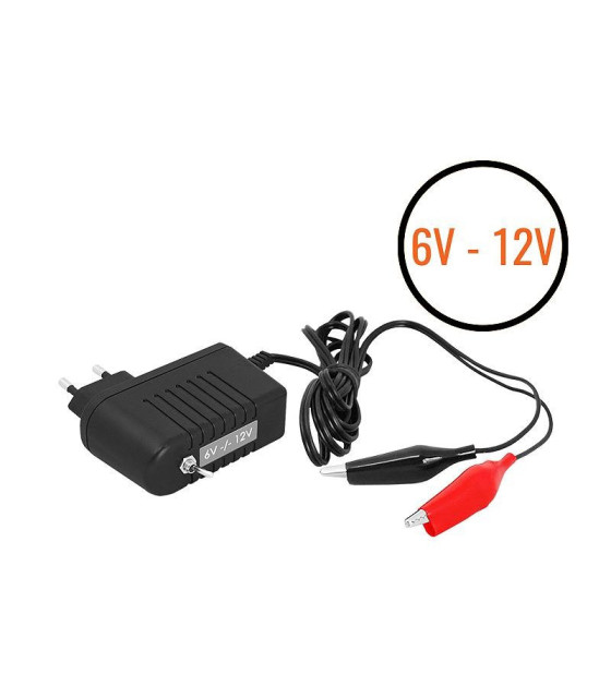 Smart Car Motorcycle Battery Charger Intelligent Battery Maintenanc...