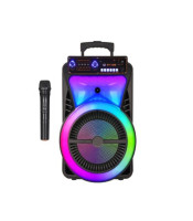 12 Inch LED Trolley Box Party Column 2000W Peak Power Outdoor Portable FM Radio caixa de som Bluetooth Speaker With Wireles