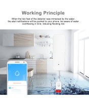 WI-FI Tuya Smart Life leak detector with flood alarm