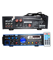 Professional 220v Bt Audio Amplifier With Usb TfGLS-16