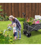 TRAVEL STROLLER TROLLEY-120l