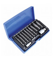 12PCS TORX DAMAGED SET EXTRACTOR