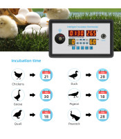 ZFX-W9002, Incubator thermostat XM26