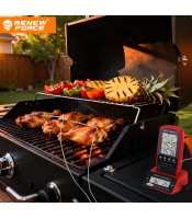 ΨΗΦΙΑΚΟ ΘΕΡΜΟΜΕΤΡΟ BBQ 2 ΘΕΡΜΟΚΡΑΣΙΩΝ ΜΕ ΑΠΟΣΠΩΜΕΝΟΥΣ ΣΕΝΣΟΡΑ