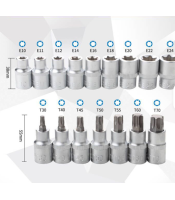 Torx Socket set 1/2, 16 pcs