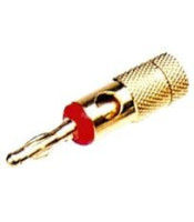 MALE METALLIC RED GOLD PLATED BANANA LZ532G